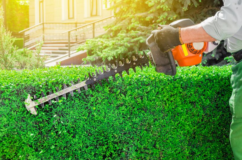 Hedge Shaping Service in Ventura County, CA