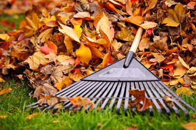 Fall Maintenance Tools