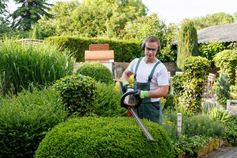 Hedge Trimming in Honolulu, HI
