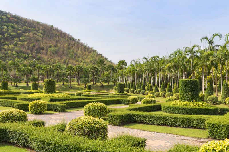 Healthy, Well-Shaped Shrubs