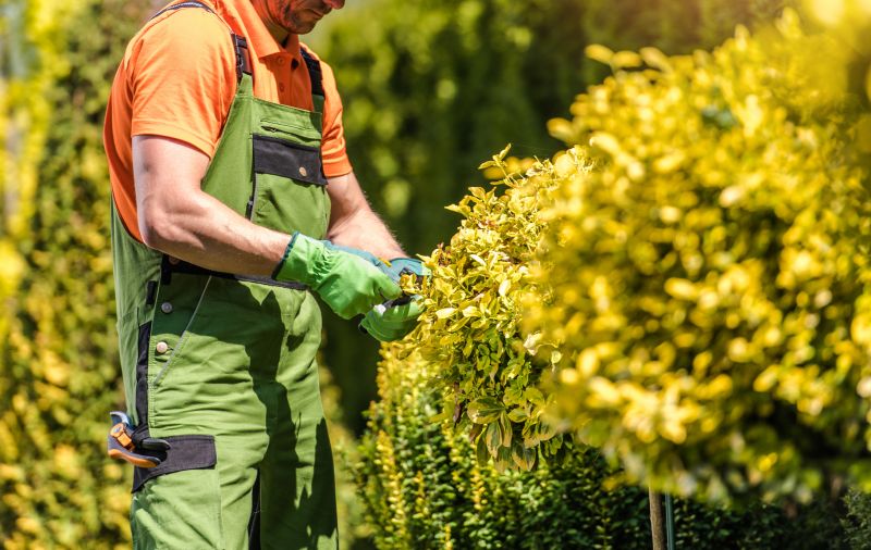 Shrubs Removal in Aiken, SC